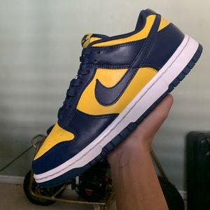 Nike Michigan Dunks